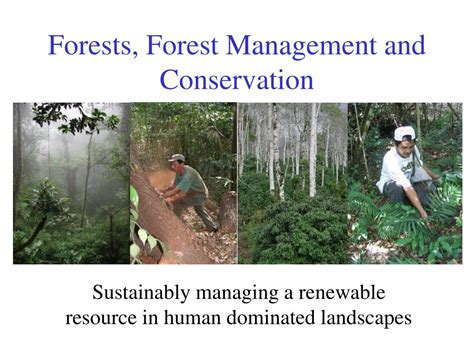 PPT - Forests, Forest Management and Conservation …