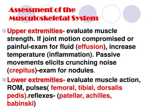 PPT - Musculoskeletal Assessment PowerPoint …