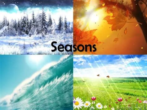 PPT - Seasons PowerPoint Presentation, free download