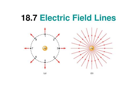 PPT 18.7 Electric Field Lines PowerPoint Presentation, free download ID642281