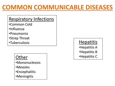 PPT COMMUNICABLE DISEASES PowerPoint Presentation ID2959969