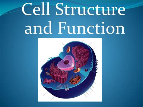PPT Cellular Structure and Function PowerPoint Presentation, free