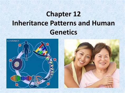PPT Chapter 12 Inheritance Patterns and Human PowerPoint