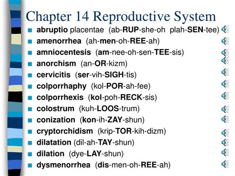 PPT Chapter 14 Reproductive System PowerPoint Presentation, free