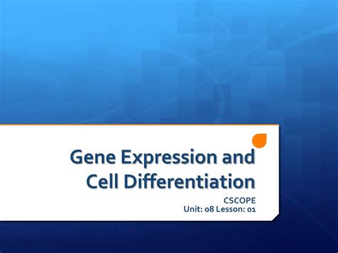 PPT Gene Expression and Cell Differentiation PowerPoint Presentation