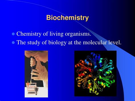PPT Introduction to Biochemistry PowerPoint Presentation, free