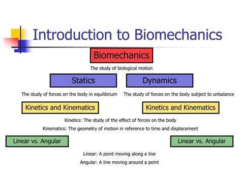 PPT Introduction to Biomechanics and Vector Resolution PowerPoint