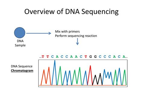 PPT LESSON 9 Analyzing DNA Sequences and DNA Barcoding PowerPoint
