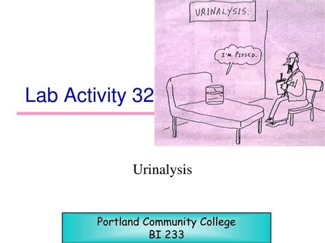 PPT Lab Activity 32 PowerPoint Presentation ID813423