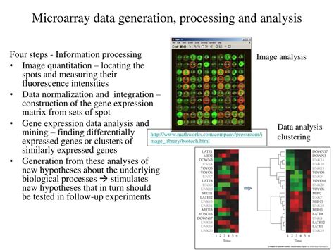PPT Microarray data analysis PowerPoint Presentation, free download