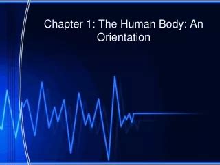PPT Orientation to the Human Body Chapter 1 PowerPoint Presentation