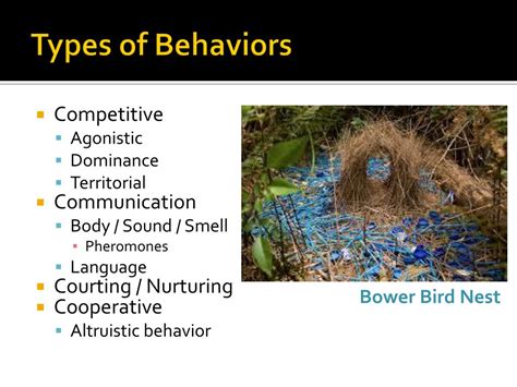 PPT Unit 8 Patterns of Behavior PowerPoint Presentation, free