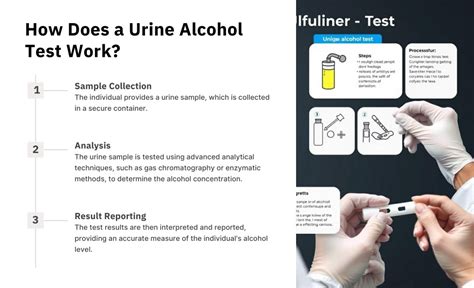 PPT Urine Alcohol Test Explained Informative PPT Guide PowerPoint