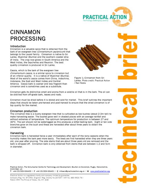 Practical Action/Cinnamon processing - raincitystudios.com
