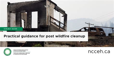 Practical guidance for post wildfire cleanup - ncceh.ca - raincitystudios.com