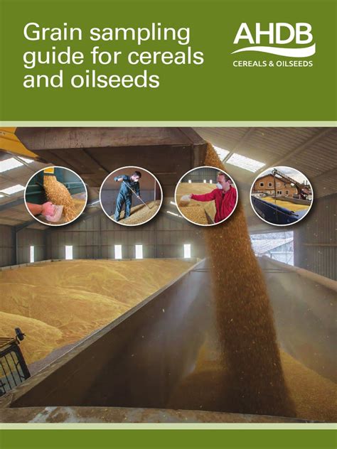 Practical Procedures For Sampling Grain - Agricultural Marketing Service - coolestguyplanet.net