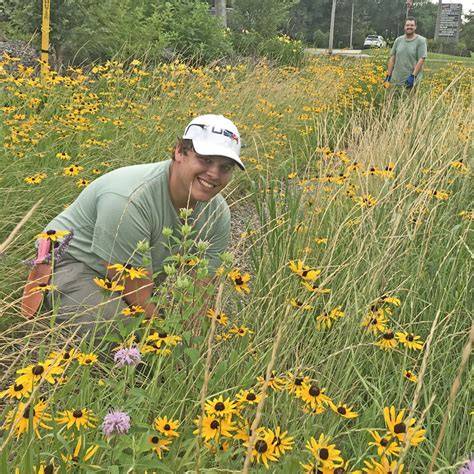 Prairie Maintenance and Restoration - NG Land Management - raincitystudios.com