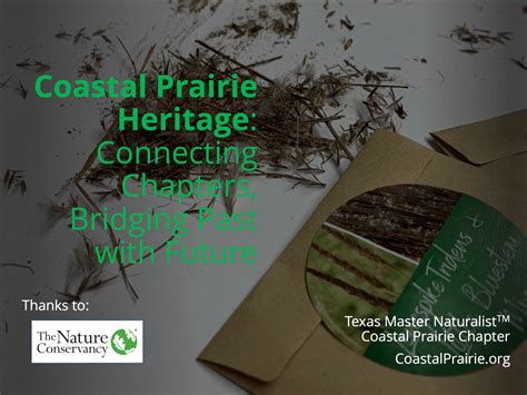 Prairie Restoration: Bridging the Past and the Future - raincitystudios.com