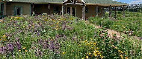 Prairie Restoration and Installation Services : … - raincitystudios.com