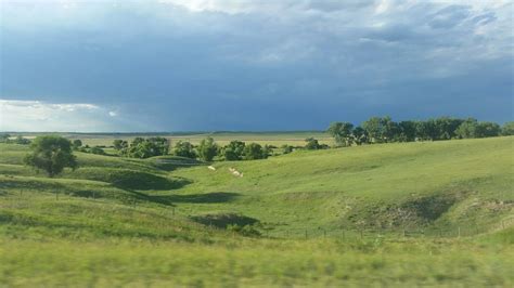 Prairie Restoration Services | Wisconsin and Minnesota … - raincitystudios.com