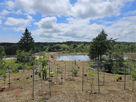 Prairie Restorations, Inc. — Reforestation, Nurseries and Genetics ... - raincitystudios.com