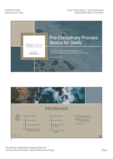 PRE-DISCIPLINARY PROCESS: BASICS FOR SKELLY SUPPLEMENTAL