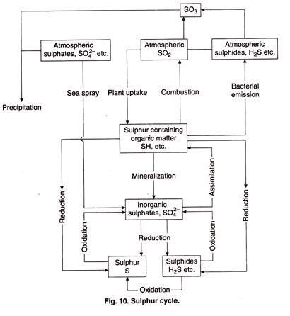 Precipitation-Driven Shifts in Organic Sulfur Decomposition and ... - wintechmobiles.com