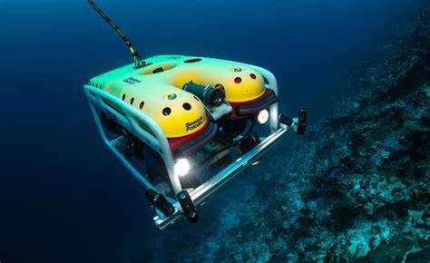 Precision Underwater Solutions for Peak Vessel ... - raincitystudios.com