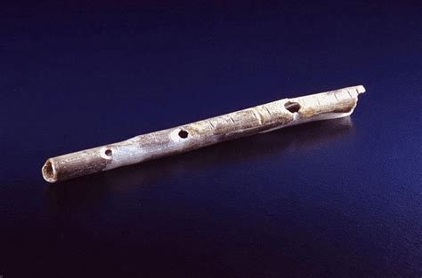 Prehistoric flute in Germany is oldest known - wintechmobiles.com