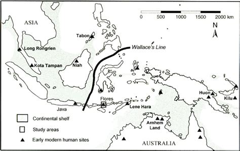 Prehistoric Indonesia - wintechmobiles.com