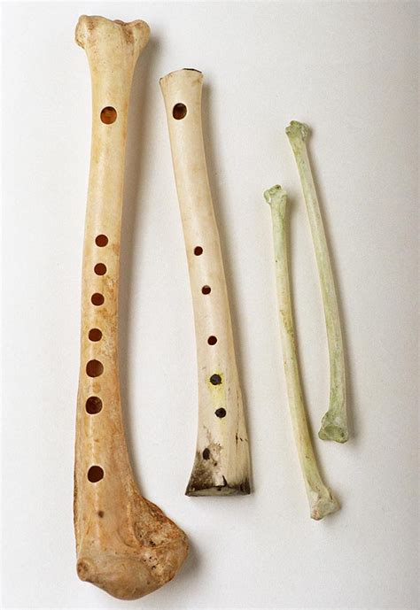 Prehistoric Musical Instruments - Crystainks - Crystalinks - wintechmobiles.com