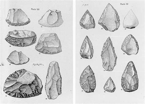 Prehistoric Stone Tools with Animal Residue - wintechmobiles.com