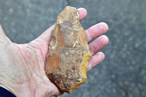 Prehistoric Tool - Stardew Valley Wiki - wintechmobiles.com