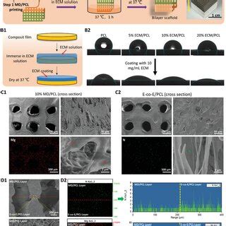 Preparation and characterization of multifunctional composite scaffolds ... - wintechmobiles.com