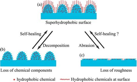 Preparation and mechanism analysis of self-healing superhydrophobic ... - wintechmobiles.com