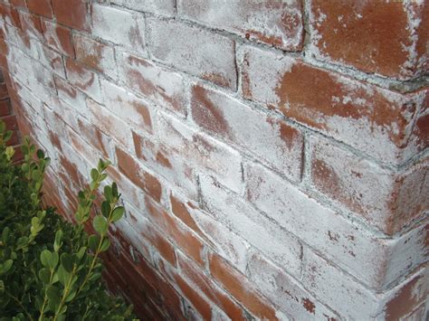 PREPARATION Efflorescence in Masonry