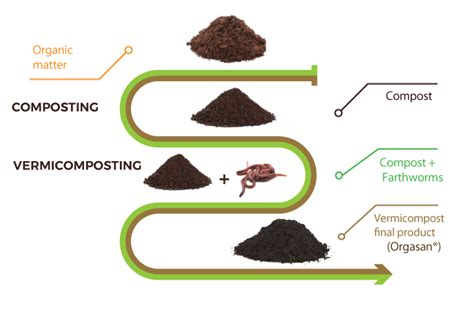 Preparation of vermicomposting - Best Notes For AG - raincitystudios.com