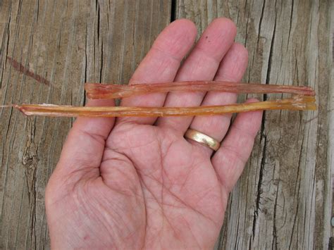 Preparing and Using Sinew - Sensible Survival - wintechmobiles.com