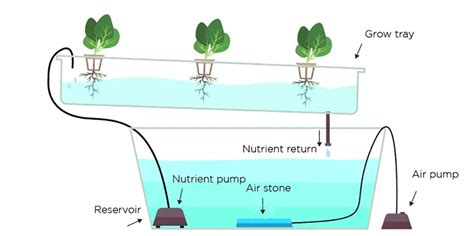 Preparing Hydroponics Nutrient Solutions, From Concentrations to ... - wintechmobiles.com
