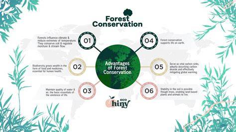 PRESENT STATUS OF CONSERVATION, UTILIZATION AND MANAGEMENT OF FOREST ... - raincitystudios.com