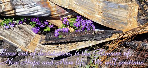 Preservation and Restoration of Historical Instruments - muktibox.com