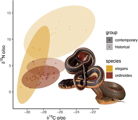 Preservation of stable isotope niche dynamics in squamate museum ... - wintechmobiles.com