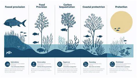 Preservation of the Marine Ecosystem - Sustainable Development - raincitystudios.com