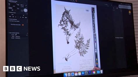 Preserving plants for the future - Kew - muktibox.com