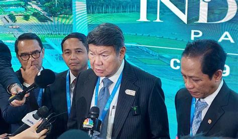 Presiden Prabowo Setujui Program Reboisasi Besar … - raincitystudios.com