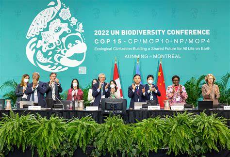 Press Release: Nations Adopt Four Goals, 23 Targets for 2030 In ... - raincitystudios.com