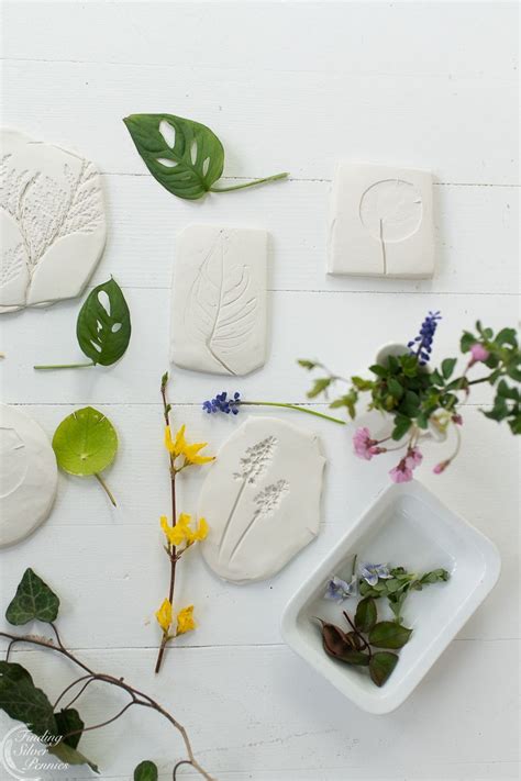 Pressed Clay Botanical Art - muktibox.com
