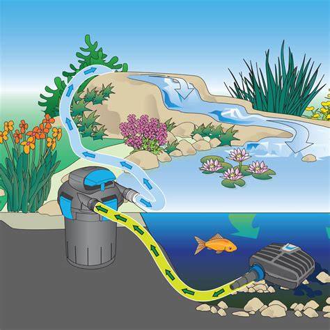 Pressurized Pond Filter | UV Filtration for Koi Ponds - raincitystudios.com