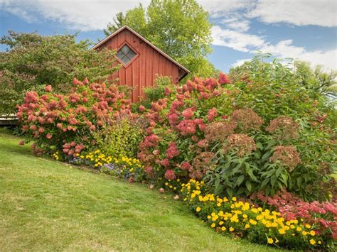 Pretty Mixed Privacy Hedge Ideas That Help Pollinators - raincitystudios.com