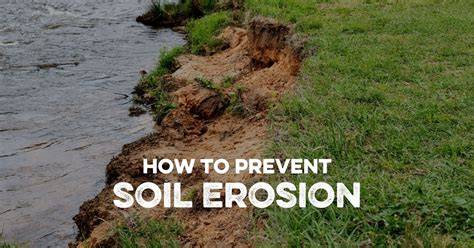 Preventing and managing erosion - Queensland … - raincitystudios.com
